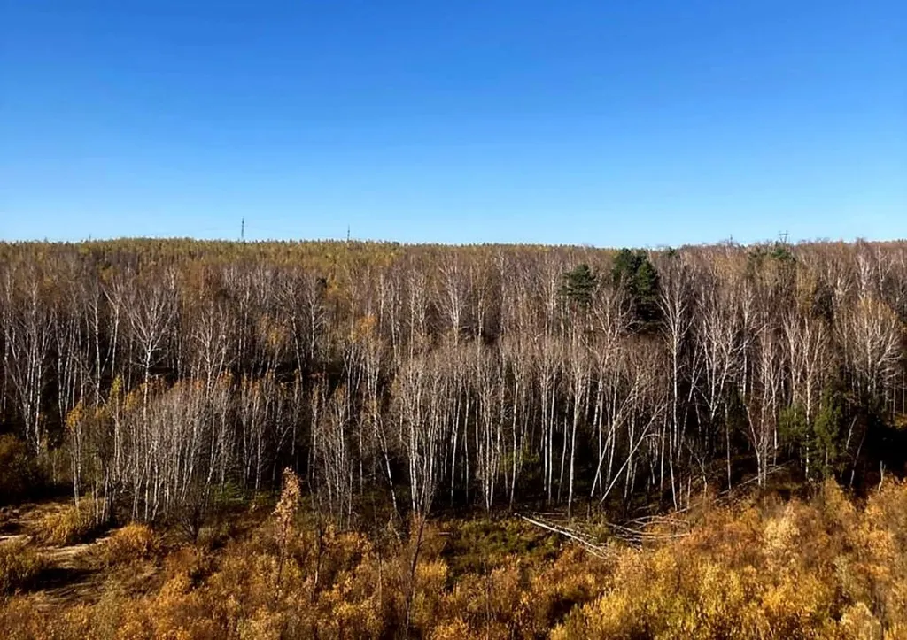 Уютная квартира у озера