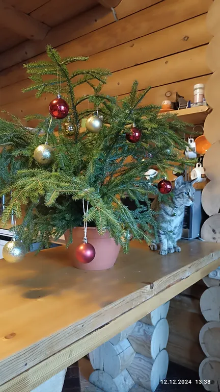 Дом на озере