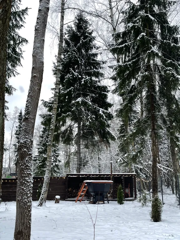 Отдых в доме в лесу с чаном и бассейном