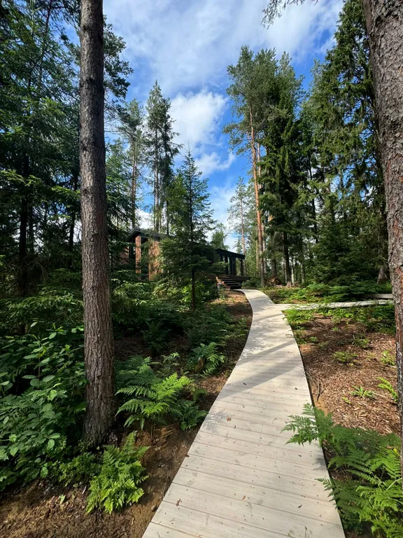 Дом Аура Леса на склоне с большой террасой и видом на лес и реку