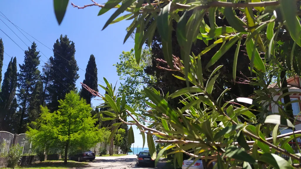 Вилла Абахча