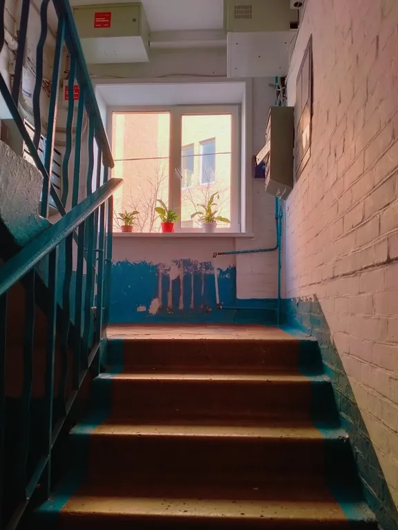 1-комнатная квартира в районе городского парка в центре Владивостока