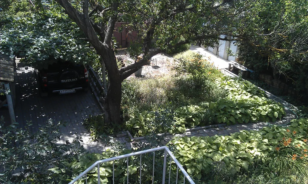 Дача Белая чайка