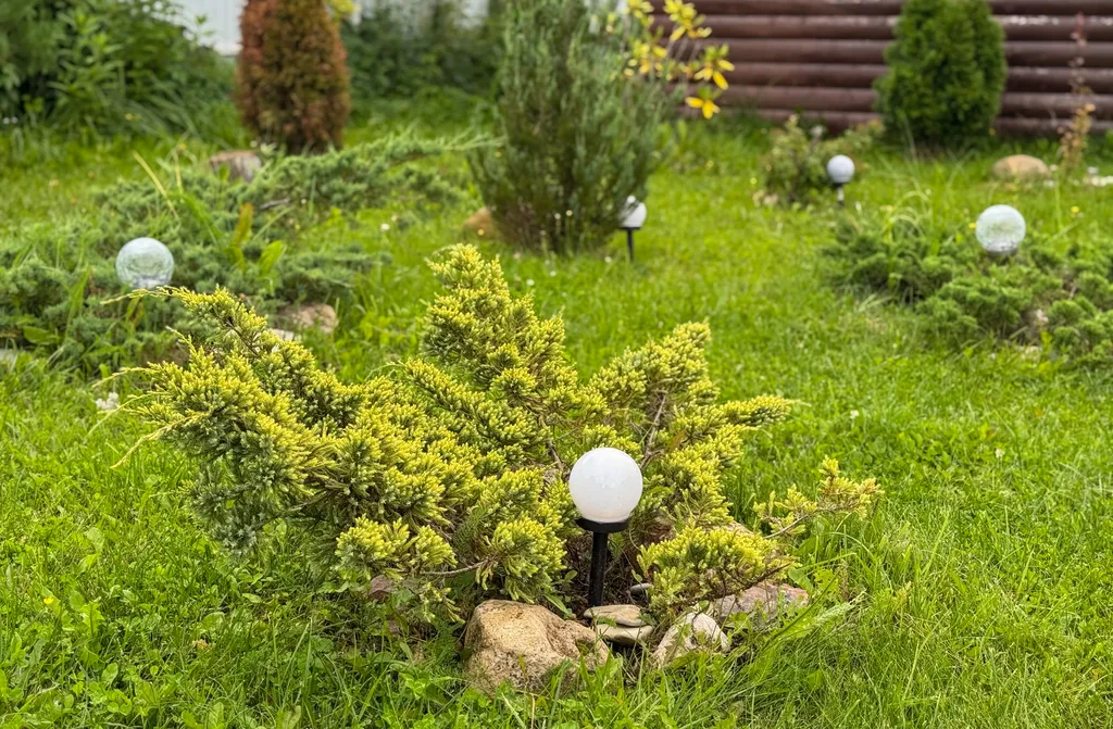 Уютный дом с большой территорией