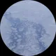 Антон