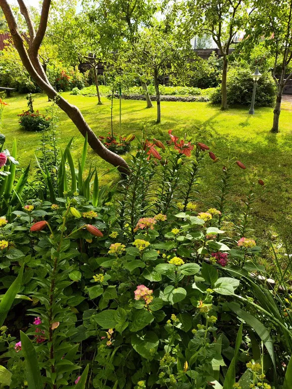 Дом для отдыха Майя возле моря