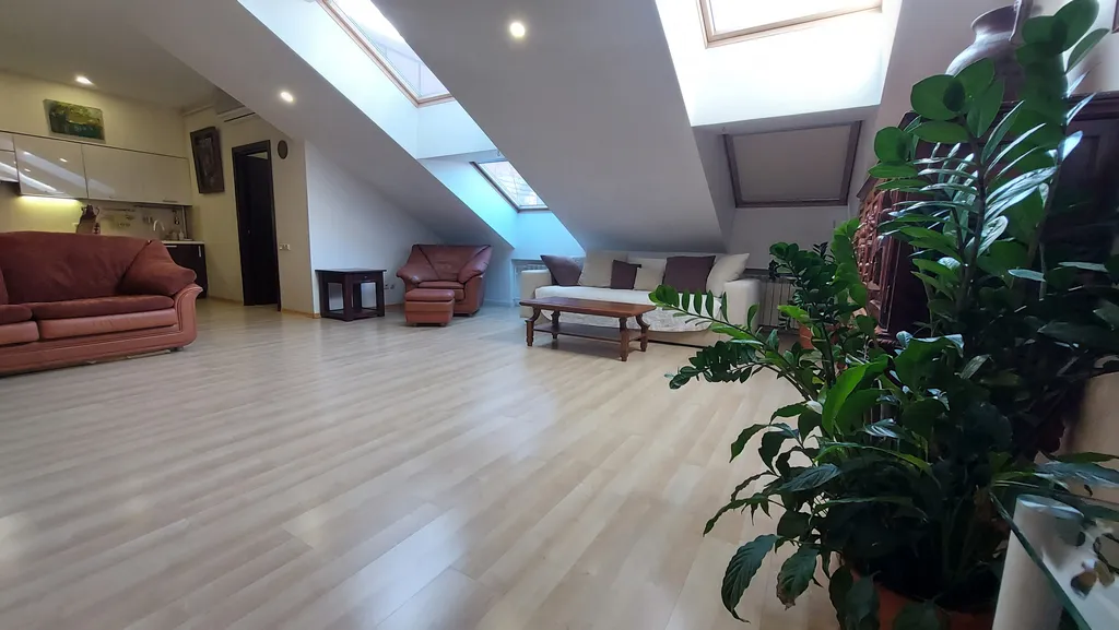 Большая мансарда у Эрмитажа