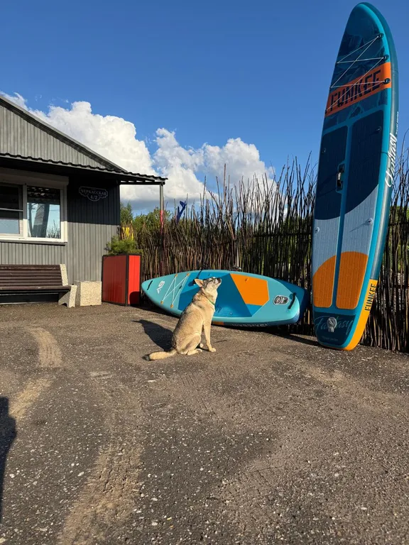 Домик на берегу Волги в Твери