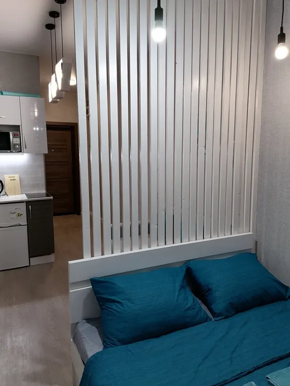 Студия рядом с Золотым мостом и Мариинским театром