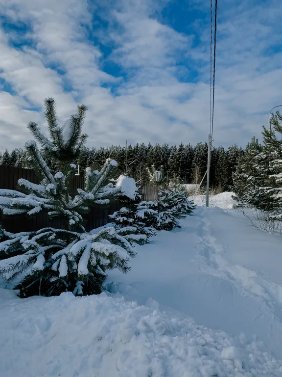 Коттедж Дом/Русская баня — Москва