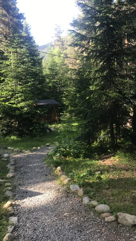 Коттедж Четырёхместный дом с видом на лес — Архыз