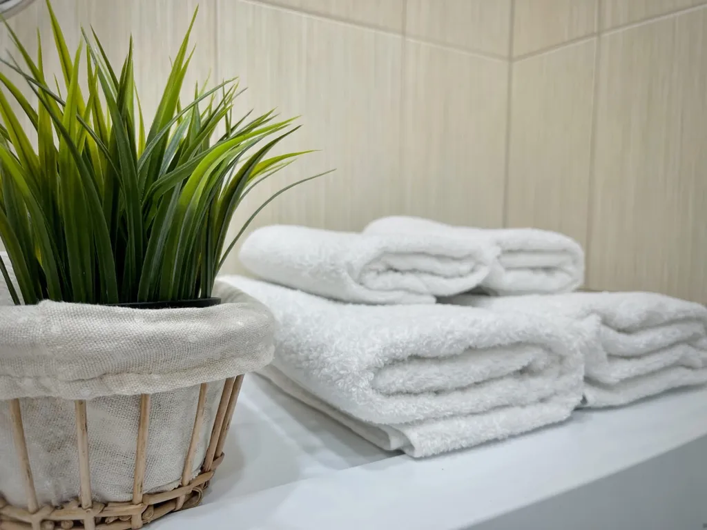 ПРОСТОРНЫЕ ДВУХКОМНАТНЫЕ АПАРТАМЕНТЫ В ЦЕНТРЕ ГОРОДА