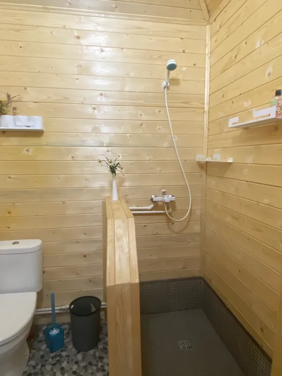 Домик рядом с Невой