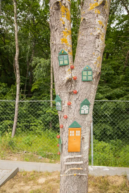 Квартира Квартира Комфортабельное гнёздышко в сердце леса — Светлогорск