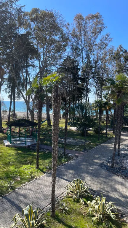 Апартаменты с видом на море