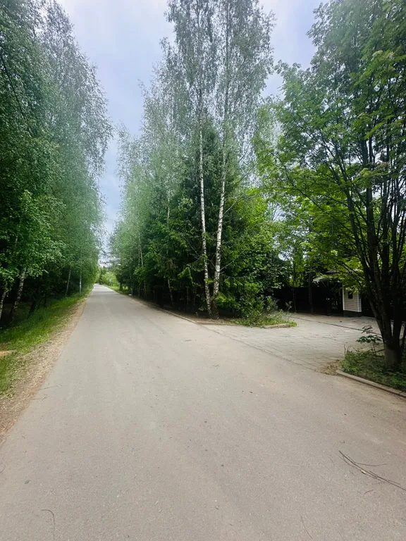 Дом с бассейном у леса