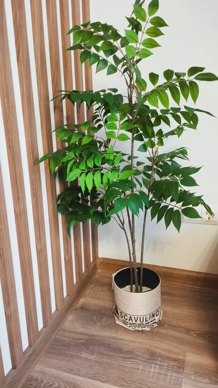 Уютная студия рядом с Мамаевым курганом