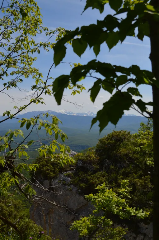 Коттедж Отдых от городской суеты в Адыгеи, домик в лесу А-фрейм — Веселый