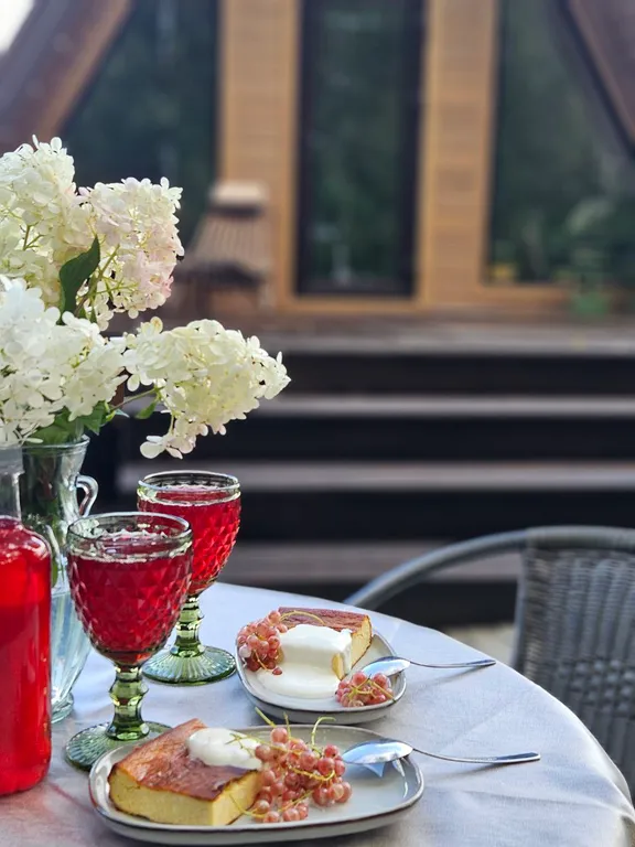 Красивые панорамные домики около леса