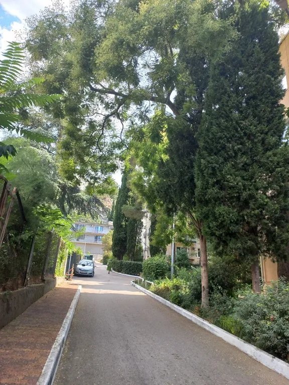 Двухкомнатная с двориком