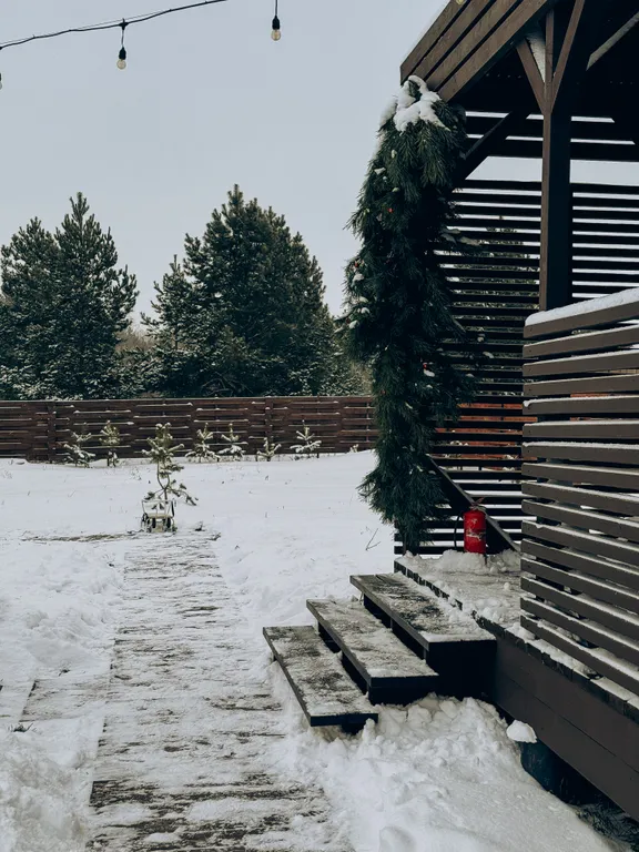 Дом с видом на лес