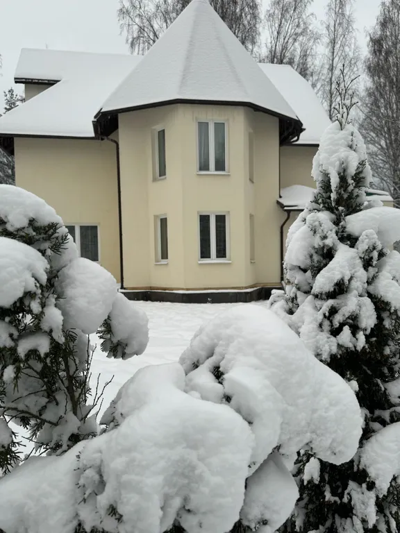 Большой дом