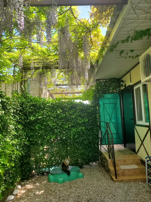 Коттедж Домик у моря — Севастополь