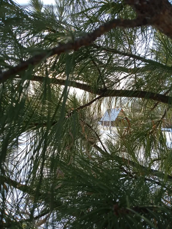 Уютный домик с огромным участком на природе у озера