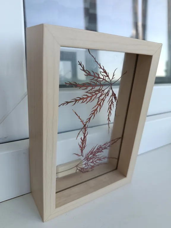 Уютная квартира у реки с панорамным видом на горы Машук и Бештау