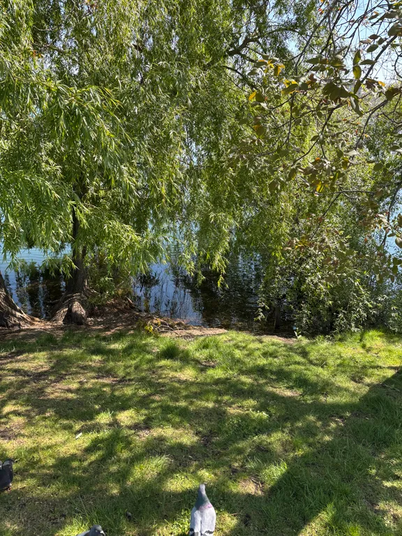 Квартира Уютная квартира на озере — Горячий Ключ