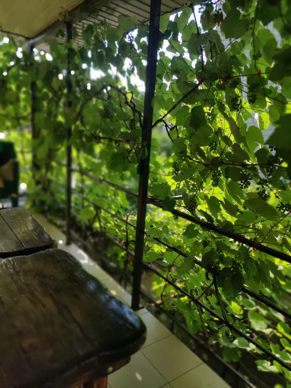 Двухкомнатный домик