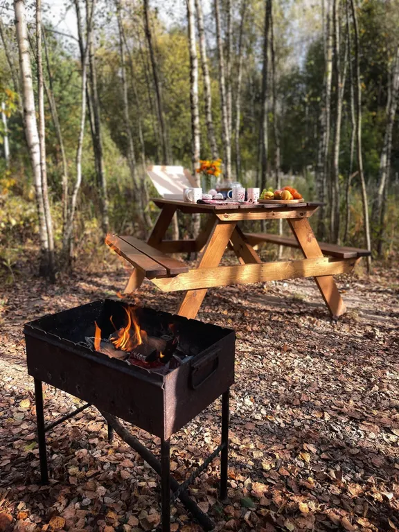 Коттедж Домик в лесу — Александров