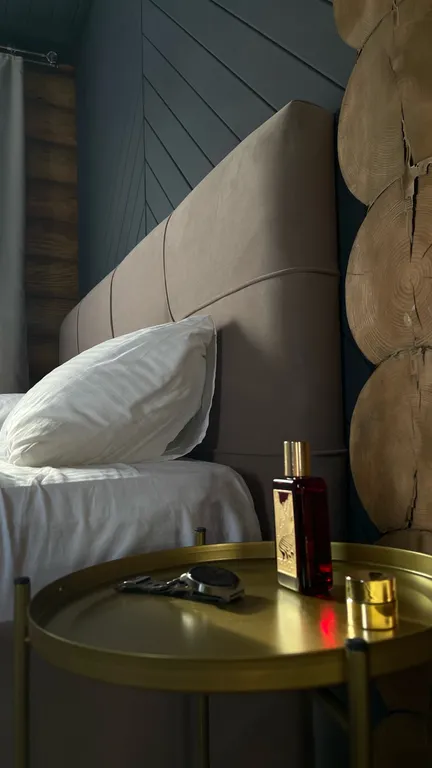 Стильный уютный дом Twin House