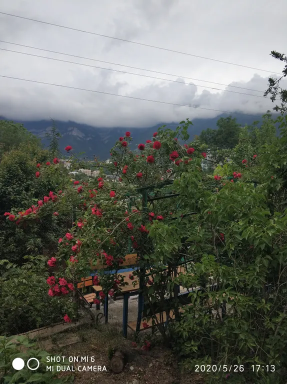 Апартаменты с видом на горы