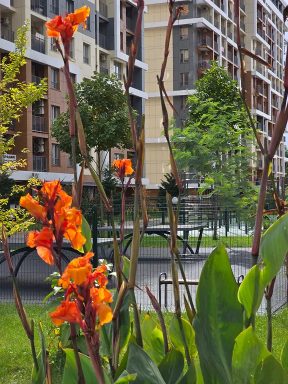 Студия с видом на море