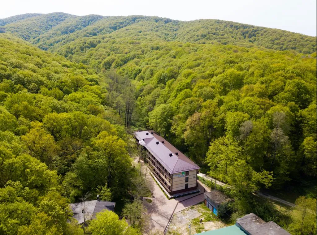 Квартира Апартаменты в премиум-локации с видом на лес — Горячий Ключ