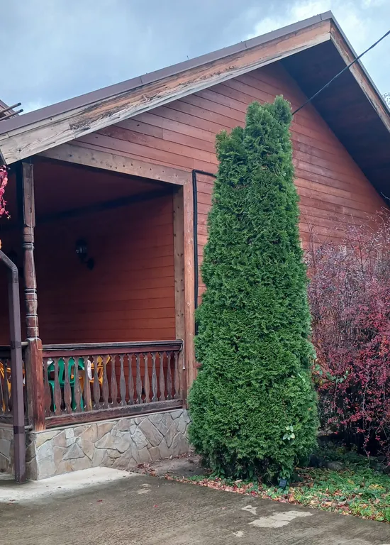 Уютный домик