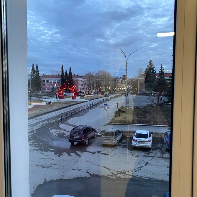 Для любителей тёплых квартир с комфортными матрасами, Жёлтый нарцисс