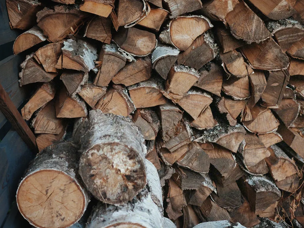 Современный уютный дом с видом на лес