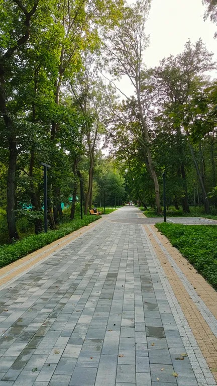 Апартаменты с видом на море