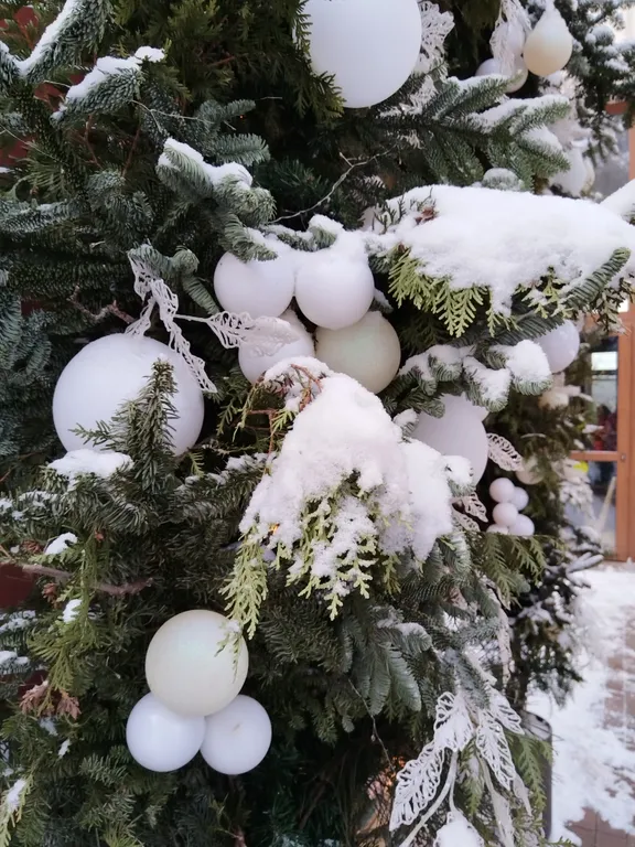 Уютная студия в прекрасном городе-курорте Светлогорск (Rauschen)