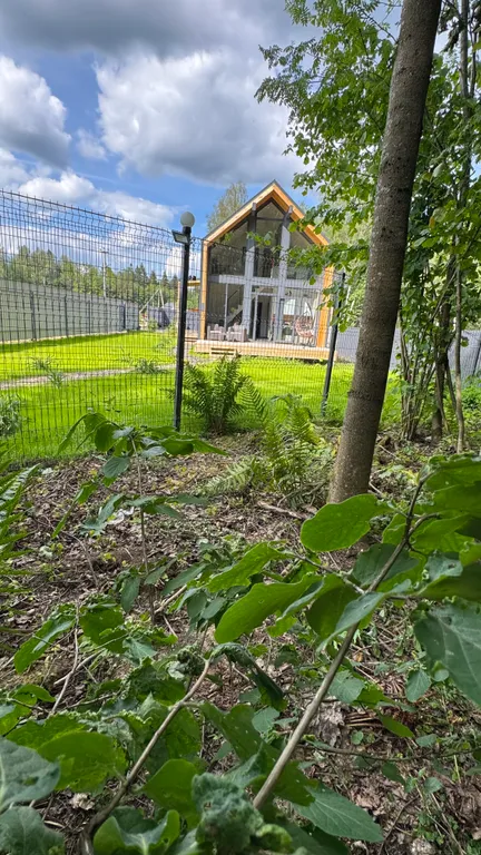 Домик в лесу