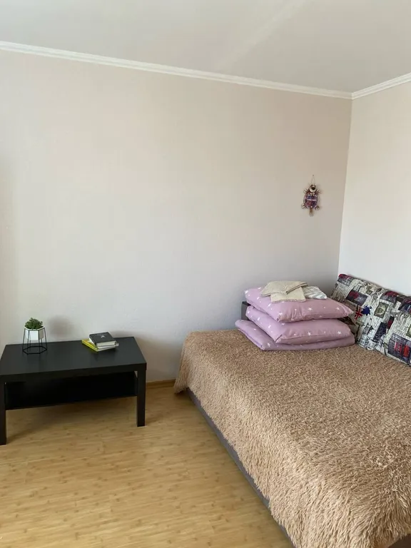 Удобно расположенная квартира в Пушкинских Горах