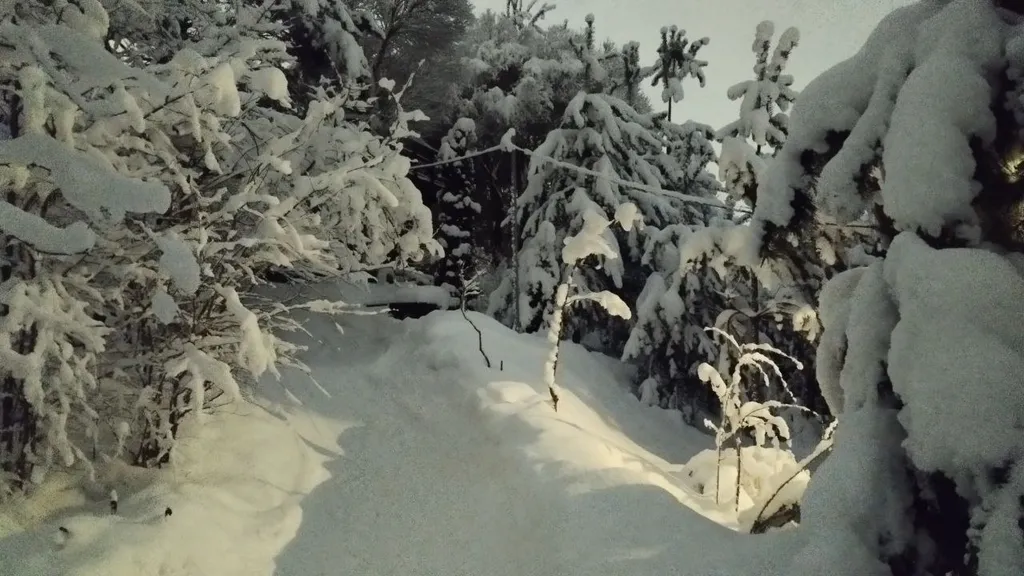 Хуторок на горке