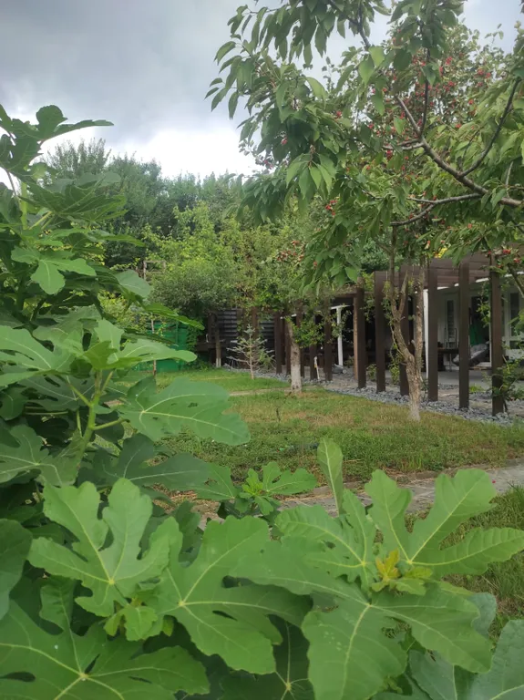 Дом-оазис природы и уюта в центре города