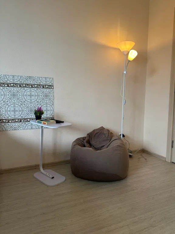 Студия Каштан в тихом ЖК