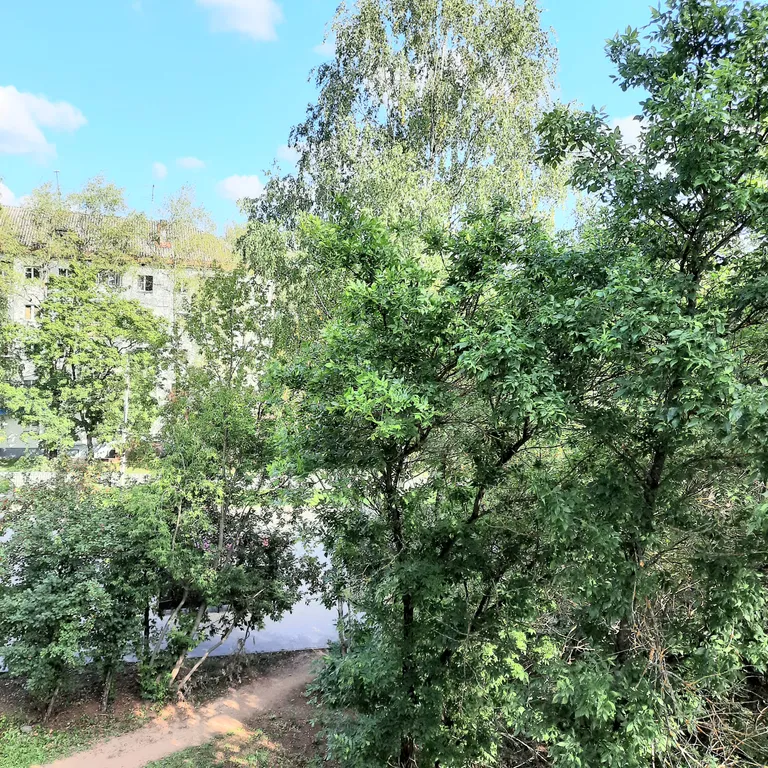 Уютная, безупречно чистая квартира в центре города