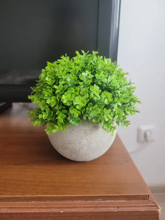 Уютная квартира в городе