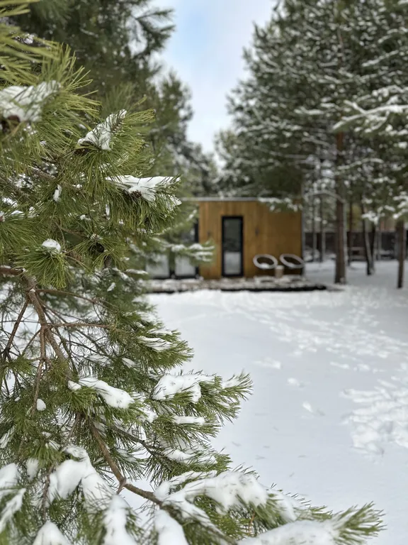 Домик в сосновом лесу