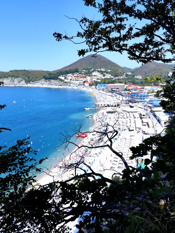 Двухкомнатные апартаменты в апарт-отеле Афалина